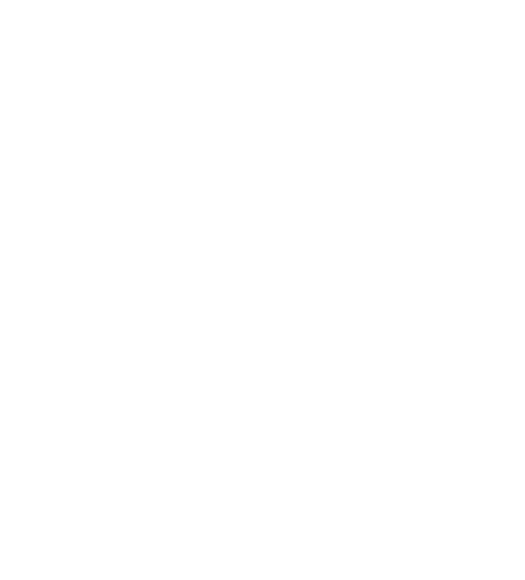 PROJEKTE